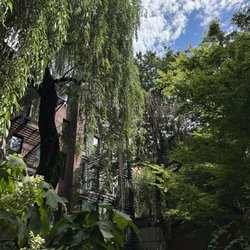 Miracle Garden - 6.29.2025
