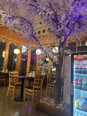 Sushi Licious by null