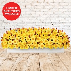 Edible Arrangements - Over 3 feet long!