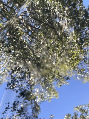 Dave's Auto Refinishing