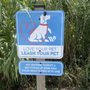 cotton belt trail