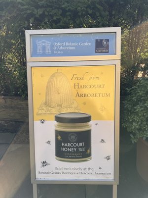 Oxford Botanic Garden by null