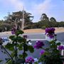 Villa Franca Inn