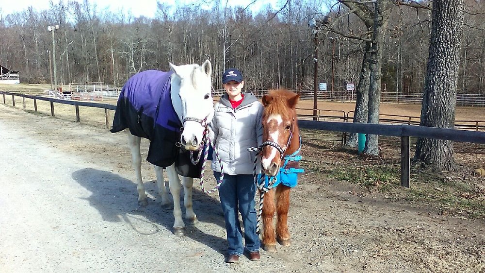 Sarah's Animal Services - equestrian in Stokesdale, NC