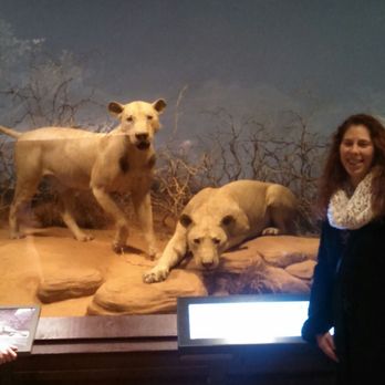 Field Museum - The one on the left ate Michael Douglas. - Museums Near Me - Chicago, Illinois