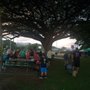Photo of Enchanted Lake Community Park