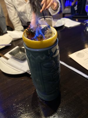 Purple Shell Boston by null