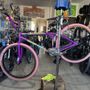 Whittier Velo