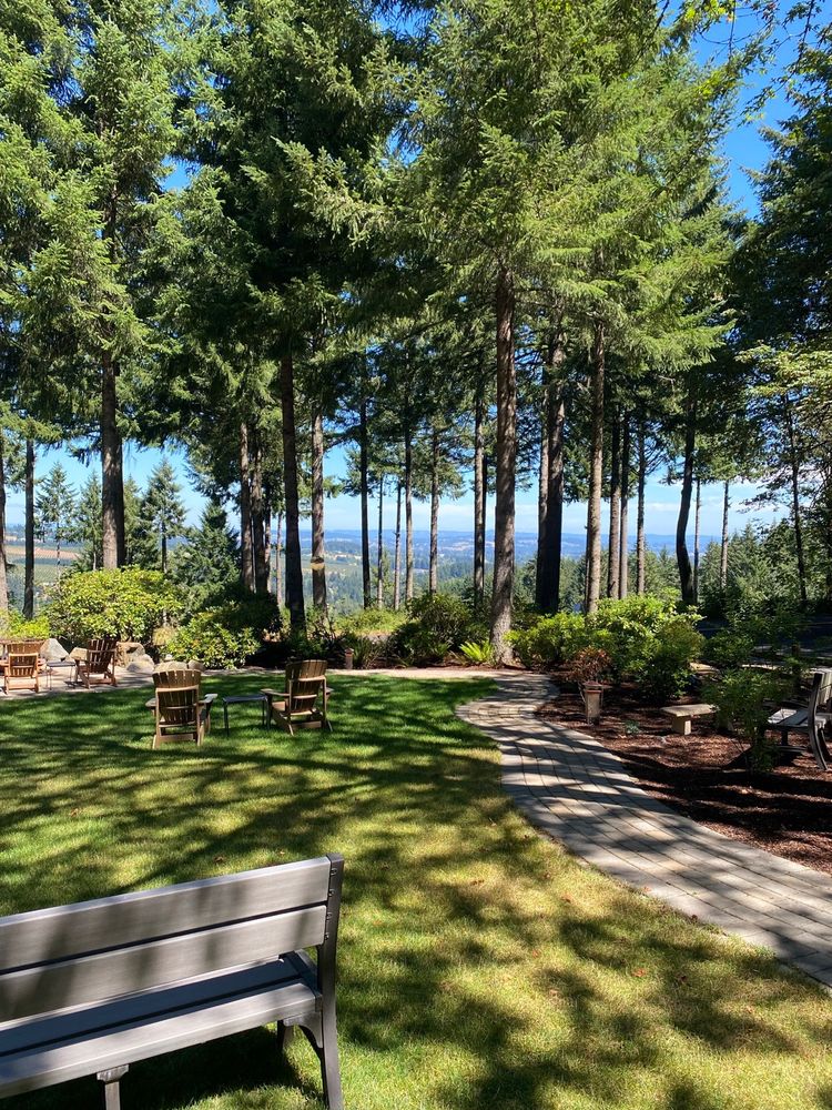 Amy & Reba's Day Drinking Wine Tours - vineyard in Tigard, OR