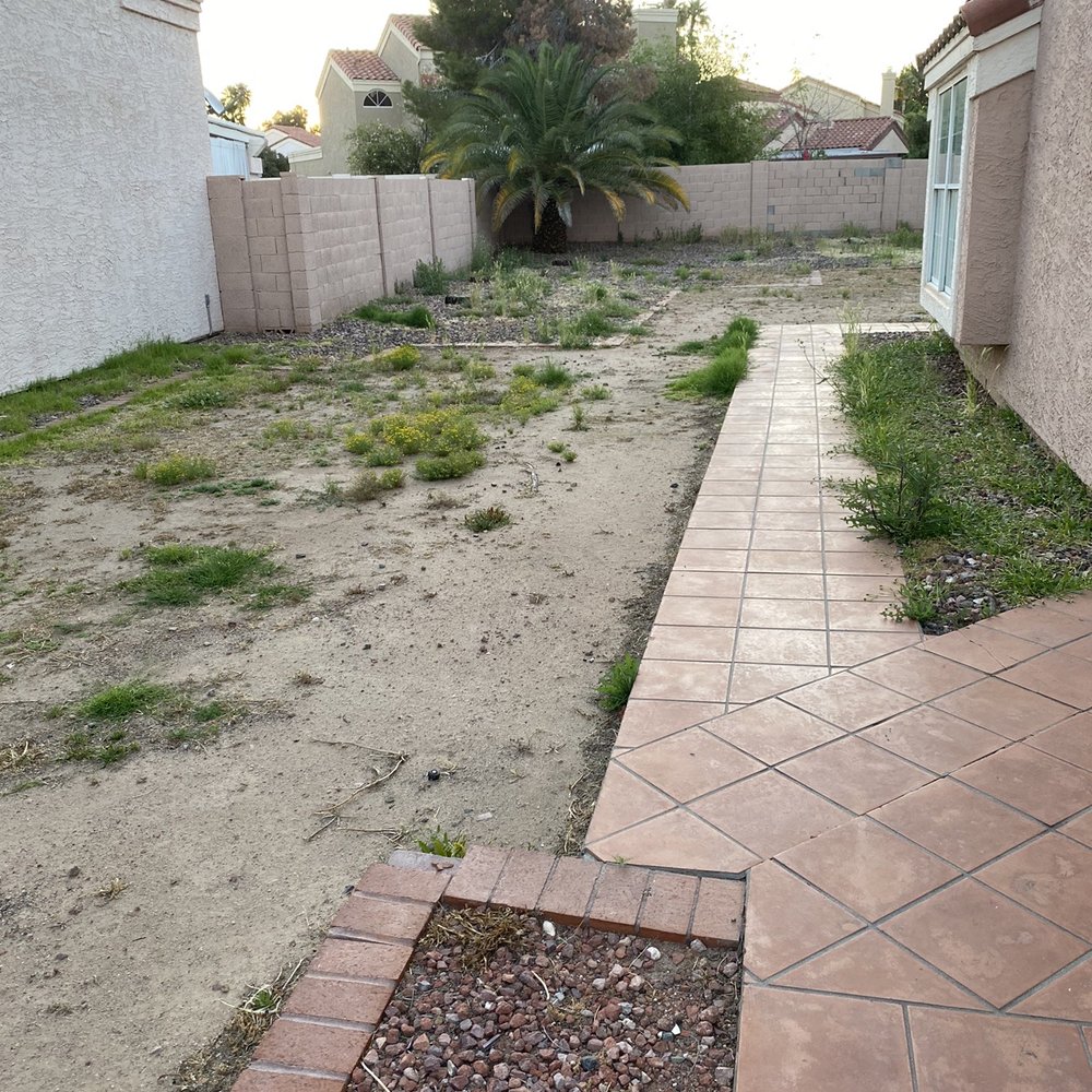 My yard on April 29th. This after a "yard cleanup" on March 17th. My yard on April 29th. This after a "yard cleanup" on March 17th.