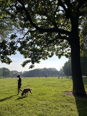 Oz Park by null