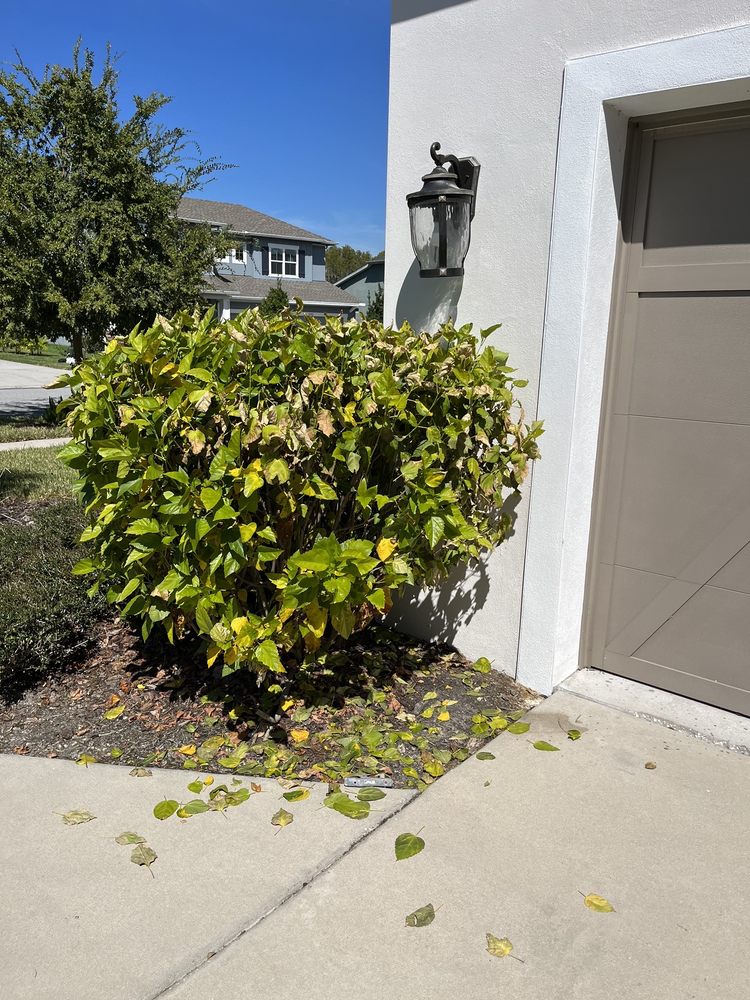 Slide of Hammerhead Roof and Structure Softwash