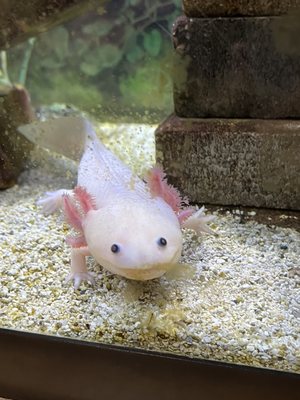 Explora Science Center and Children's Museum of Albuquerque by null