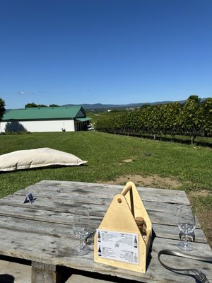 Ste-Pétronille - Winery & Cidery by null