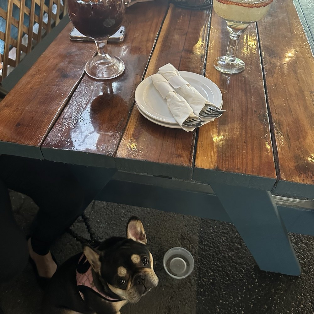 El Camaron RWC - Dod friendly patio - Mexican Near Me - Redwood City, California
