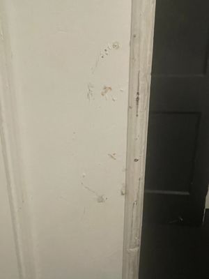 Carlton Arms Hotel by null