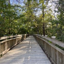 Arbor Park