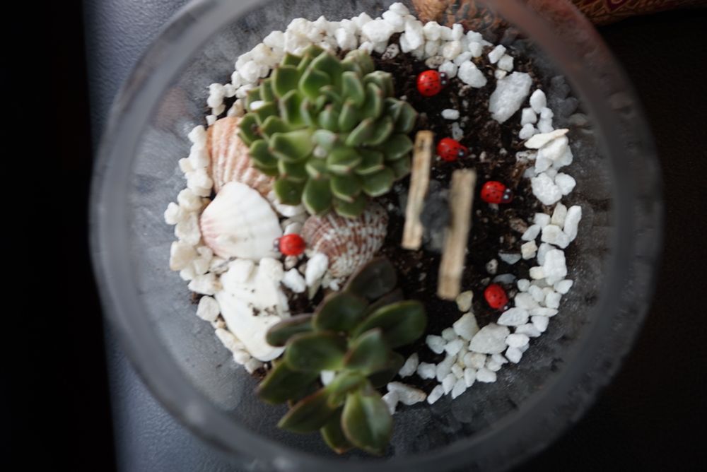 PINK ELEPHANT ART NIGHTS Art Classes San Francisco, California 21