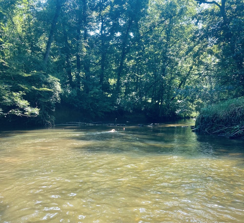 Stroud Preserve - Natural Lands Image