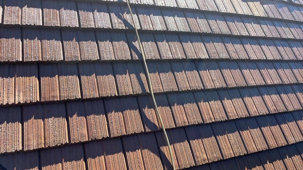 Slide of Hire Mikey's