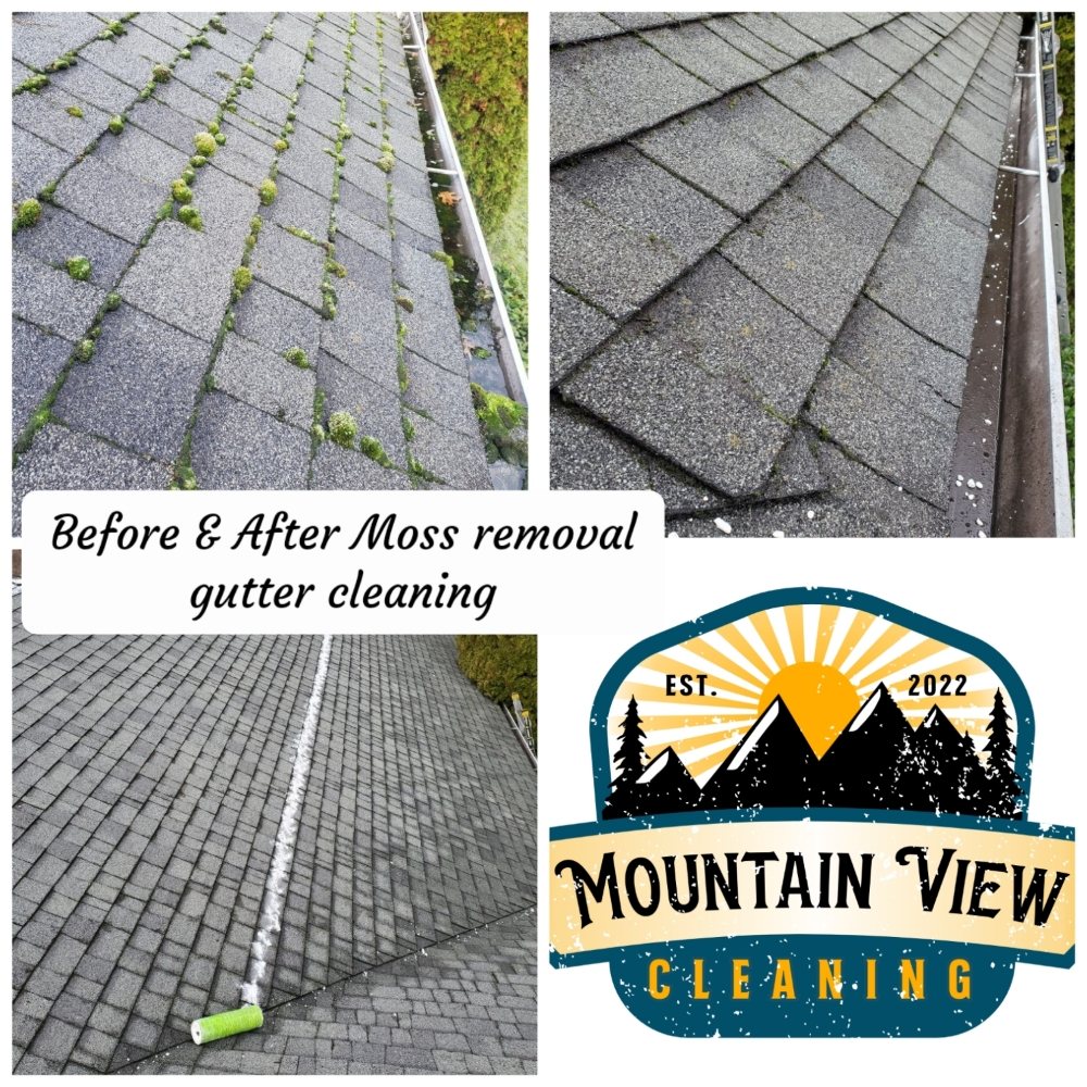 Moss Removal Victoria