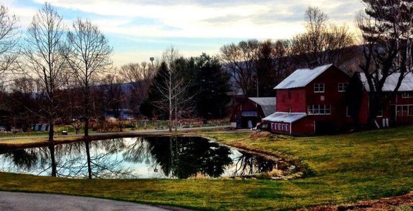 Early Bird Farm by null