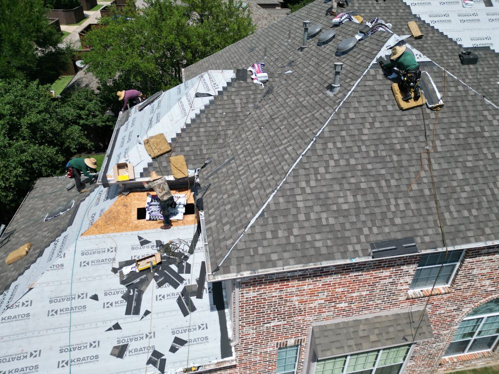 Slide of Beyond Shingles