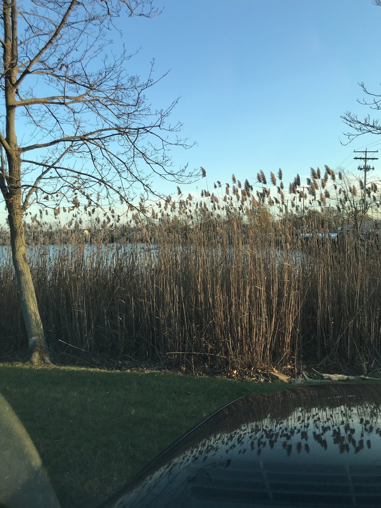 PARKER CREEK VETERINARY HOSPITAL Updated September 2024 116