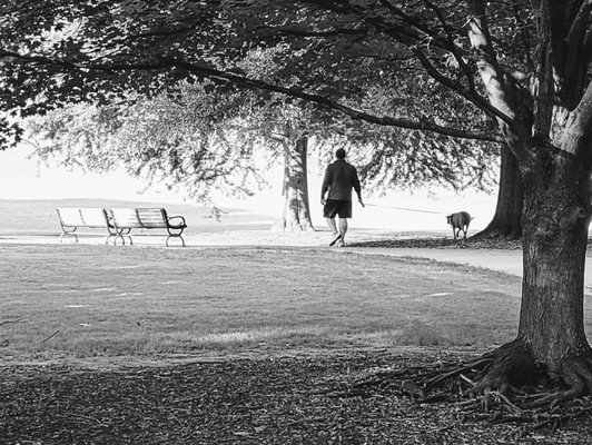 Piedmont Park by null