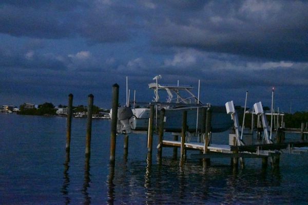 Mangrove Marina by null