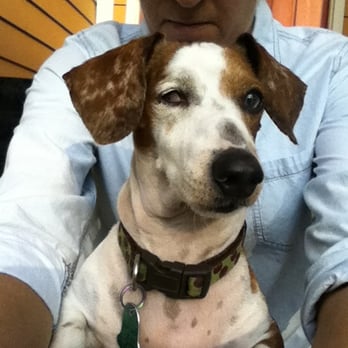 Rosedale Veterinary Clinic - Veterinarians Near Me - Austin, Texas Rosedale Veterinary Clinic - Veterinarians Near Me - Austin, Texas