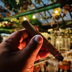 Caña Rum Bar - Arturo Fuente Curly Head Deluxe