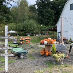Novelty Hill Farm