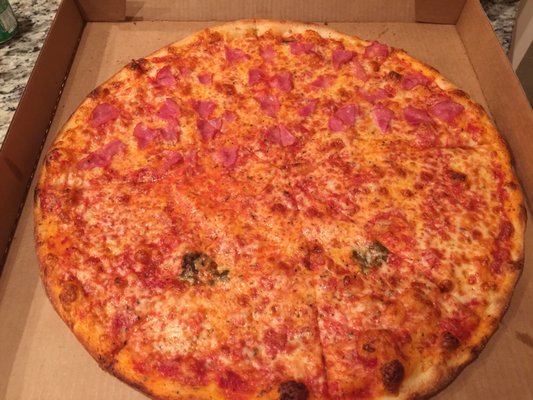 Italian Gator Pizza by null
