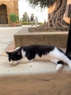 Archaeological Museum "Pietro Griffo" of Agrigento by null