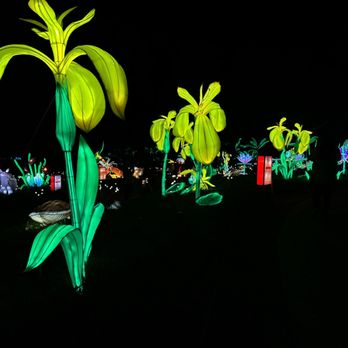 China Lights Wisconsin - Festivals Near Me - Hales Corners, Wisconsin China Lights Wisconsin - Festivals Near Me - Hales Corners, Wisconsin