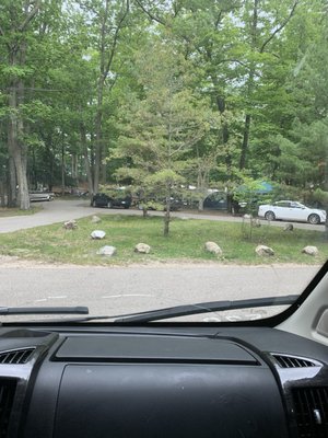 Ludington State Park Beach by null