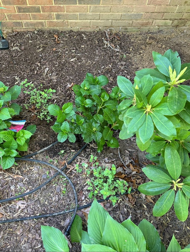 Slide of American Plumbing