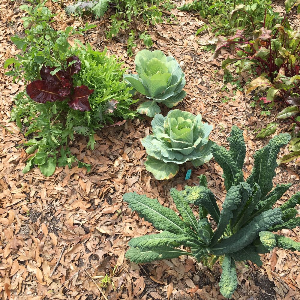 Green Acres Park Image