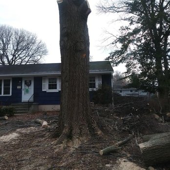 Charlie Seek Tree Service - Tree Services Near Me - Severn, Maryland Charlie Seek Tree Service - Tree Services Near Me - Severn, Maryland
