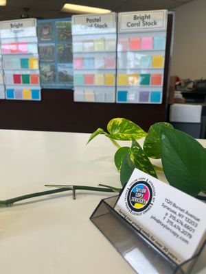 Taylor Copy Services