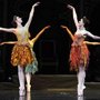 Photo of A.V.A. Ballet Theatre