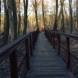 Park Leśny Bródno