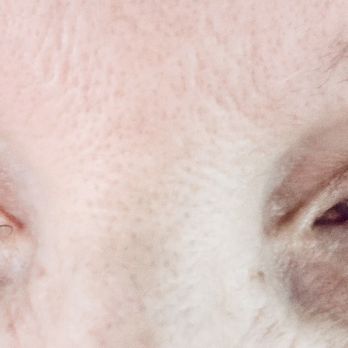The Lash Gal Studio - The Lash Gal Studio Mixed set - Eyelash Service Near Me - Las Vegas, Nevada