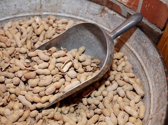 Texas Roadhouse by null