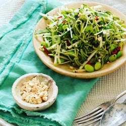 Foxes Den - Green Tea Soba Noodle with edamame - photo from website
