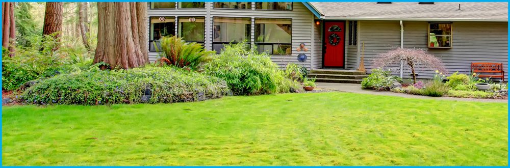 The Shrub Lady - tree service in Nashville, TN