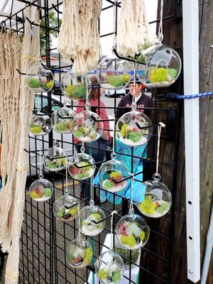 Proctor Farmers' Market by null