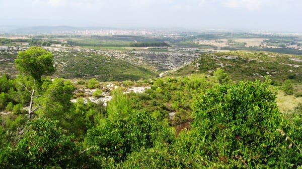 Monastery of Pedralbes by null