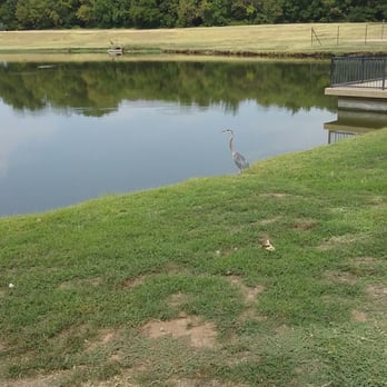 Andy Brown Park East - Park almost empty except myself and this fisherman. - Parks Near Me - Coppell, Texas Andy Brown Park East - Park almost empty except myself and this fisherman. - Parks Near Me - Coppell, Texas